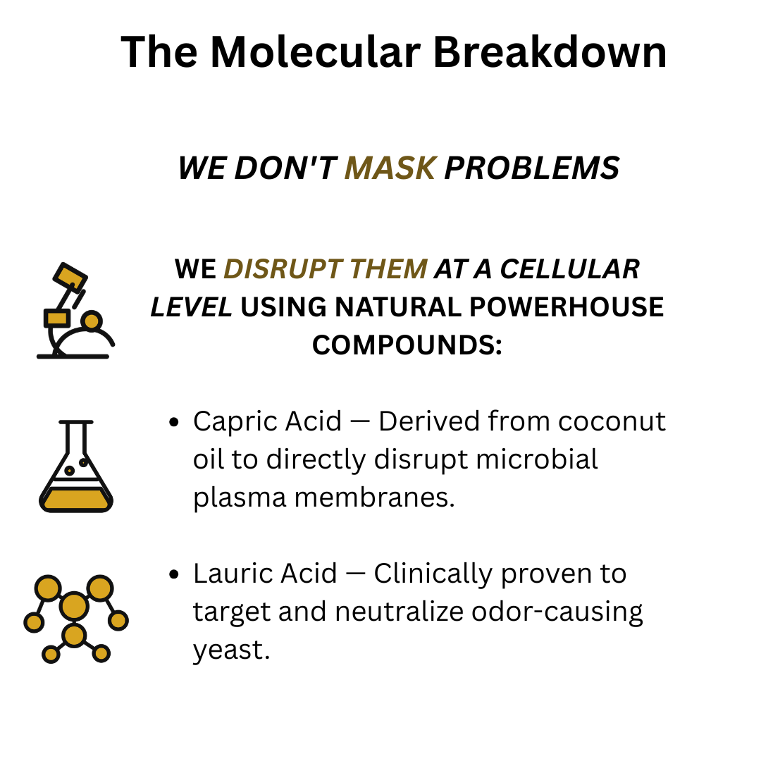 The Molecular Breakdown: panel on capric acid and lauric acid from coconut oil
