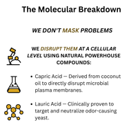 The Molecular Breakdown: panel on capric acid and lauric acid from coconut oil